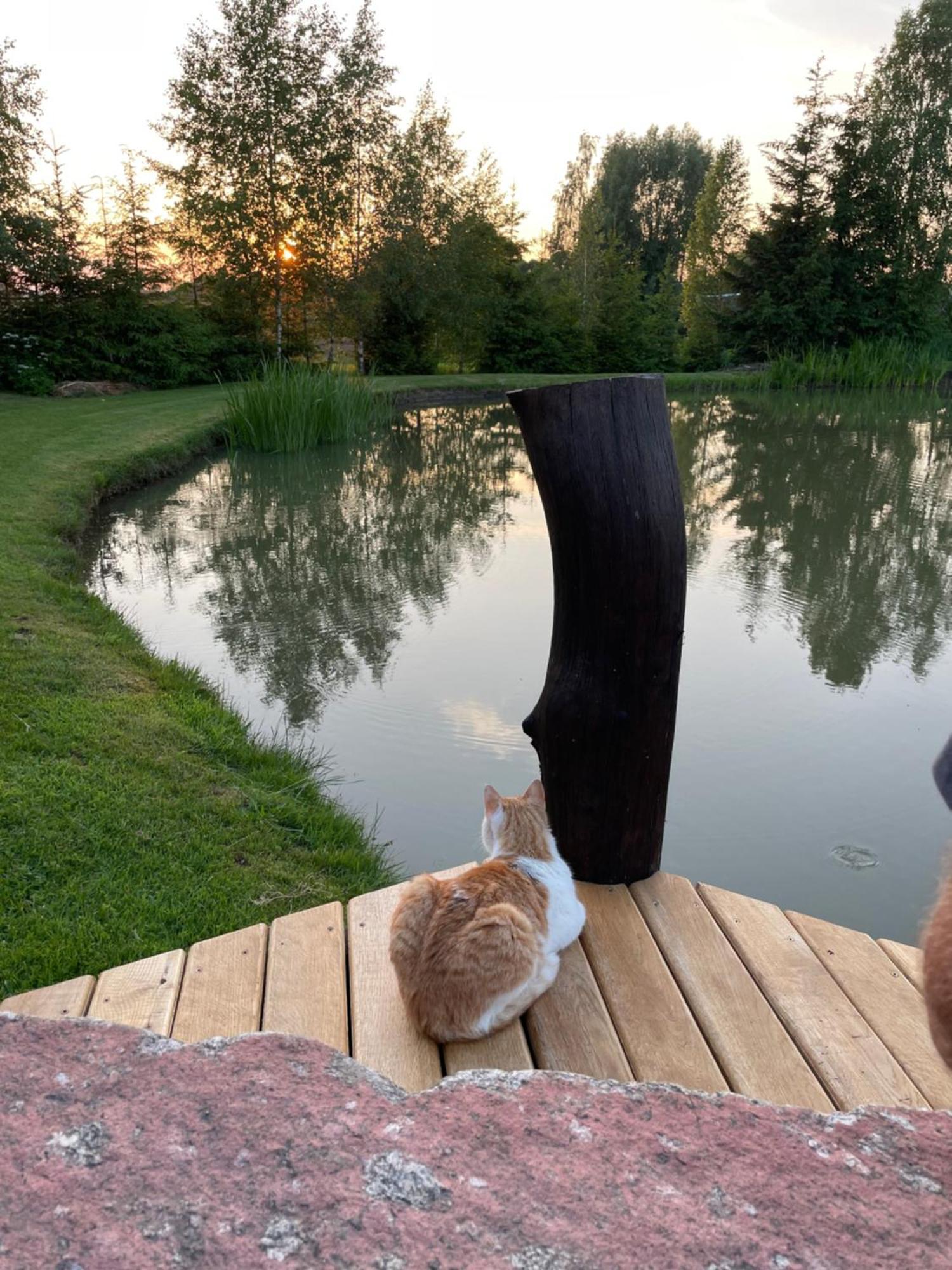 Gintaro Pirtele Villa Lazdijai Kültér fotó